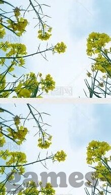 AC足球比分-AC米兰，从赛场风云到比分背后的热血与坚持