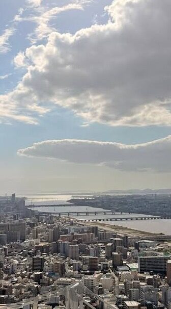 mk体育app曼联赞助-MK体育APP与曼联携手，重塑足球赞助新篇章